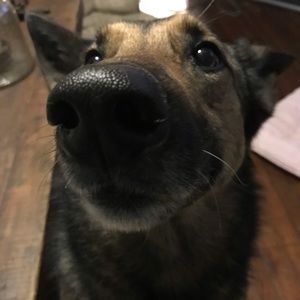 Meet your Posher, Sonya